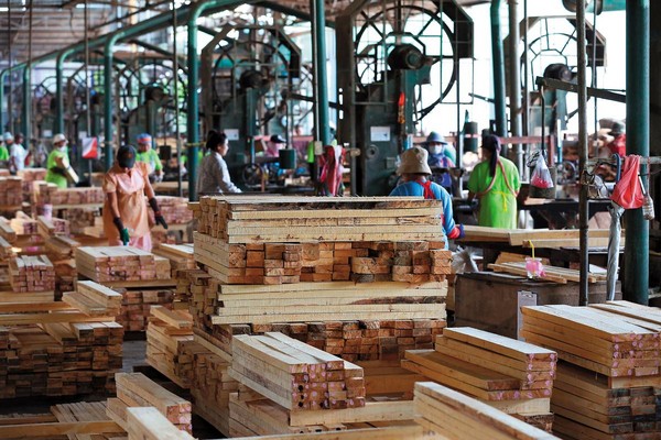 橡膠實木加工是勞力密集產業，目前只占綠河營收的15％。