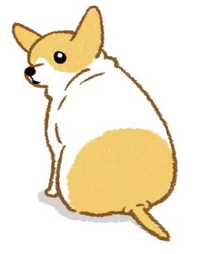 【肥胖汪喵飲食】肥肉露「線」了？快檢查這兩個地方！（圖／毛起來 MaoUp）