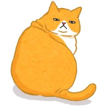 【肥胖汪喵飲食】肥肉露「線」了？快檢查這兩個地方！（圖／毛起來 MaoUp）