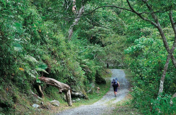 ▲▼亂折花木又偷高檔裝備！登山客「8大踩雷行為」讓山充滿垃圾。（圖／攝影師楊智仁提供）