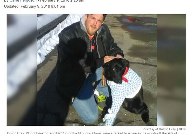 美猛男看見愛犬被咬，用手指「毒啞」68公斤黑熊...成功擊退！（圖／翻攝自Bangor Daily News）