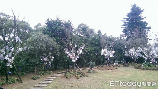 小餅乾離世，媽淚謝。（圖／網友鄭宇真提供，請勿隨意翻拍，以免侵權。）