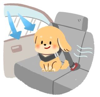 【汪汪出門趣】開心出門兜風去，狗狗暈車怎麼辦？！（圖／毛起來 MaoUp）