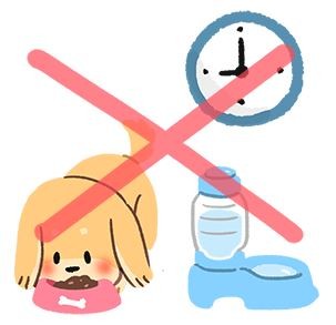 【汪汪出門趣】開心出門兜風去，狗狗暈車怎麼辦？！（圖／毛起來 MaoUp）