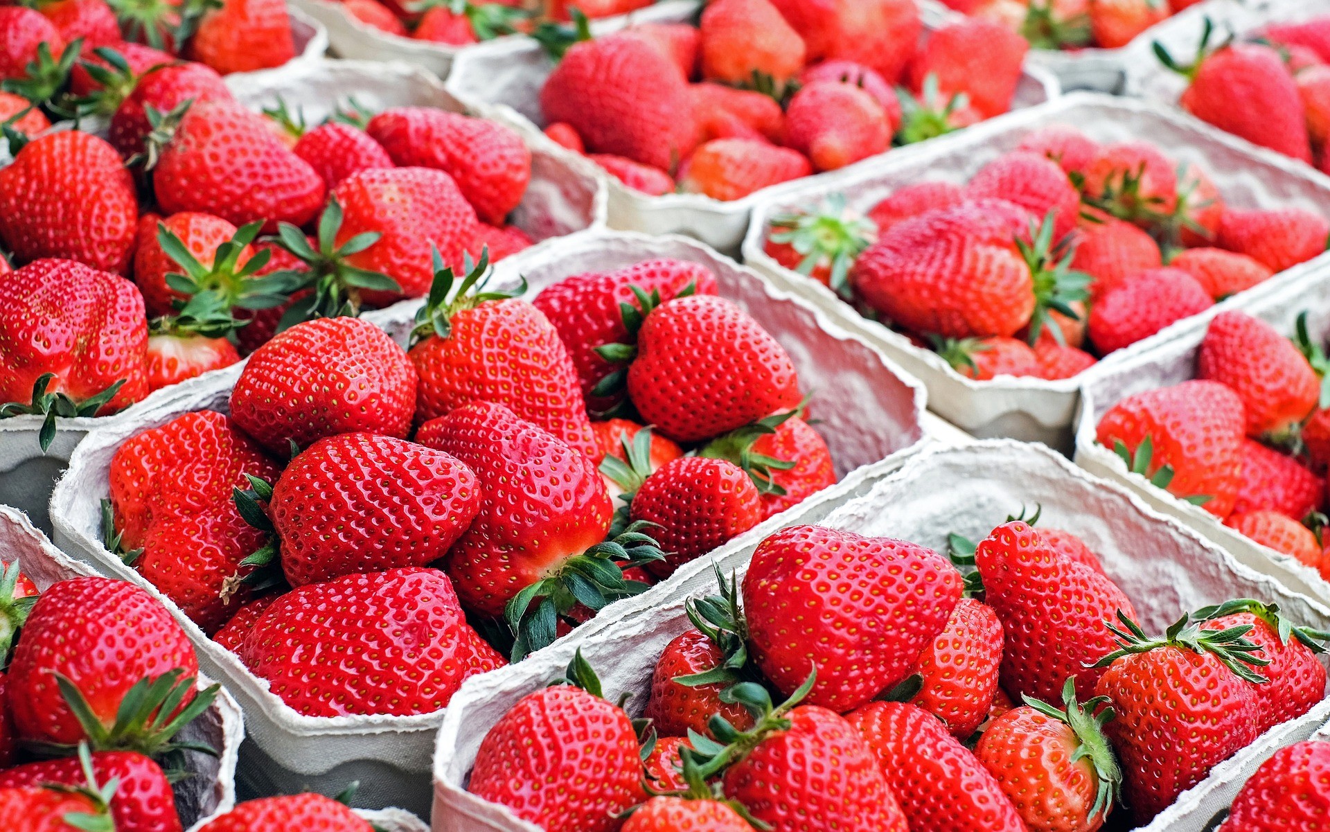 ▲▼草莓示意圖。（圖／翻攝自免費圖庫Pixabay）