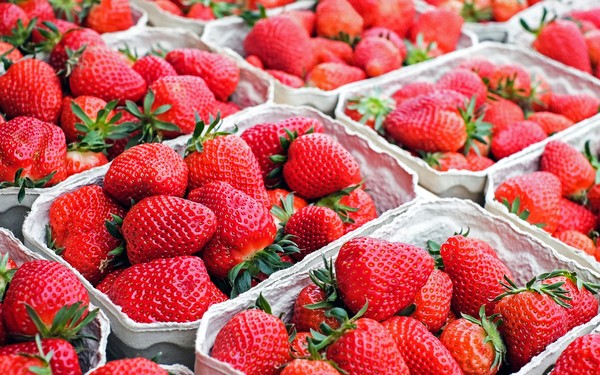 ▲▼草莓示意圖。（圖／翻攝自免費圖庫Pixabay）