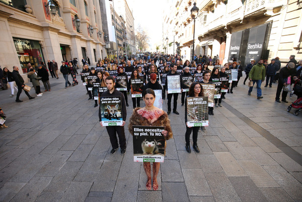 ▲動物權益保護組織在西班牙巴塞隆納抗議使用皮草。（圖／路透社）