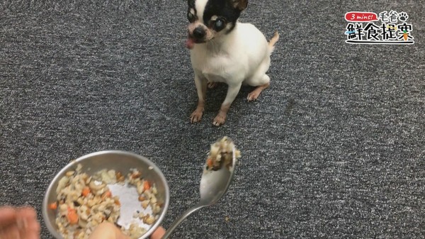 【毛爸鮮食提案】濃郁海味日式和風料理－蛤蜊炊飯。（圖／毛起來 MaoUp）