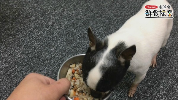 【毛爸鮮食提案】濃郁海味日式和風料理－蛤蜊炊飯。（圖／毛起來 MaoUp）