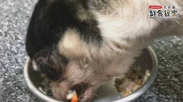 【毛爸鮮食提案】濃郁海味日式和風料理－蛤蜊炊飯。（圖／毛起來 MaoUp）