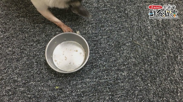 【毛爸鮮食提案】濃郁海味日式和風料理－蛤蜊炊飯。（圖／毛起來 MaoUp）