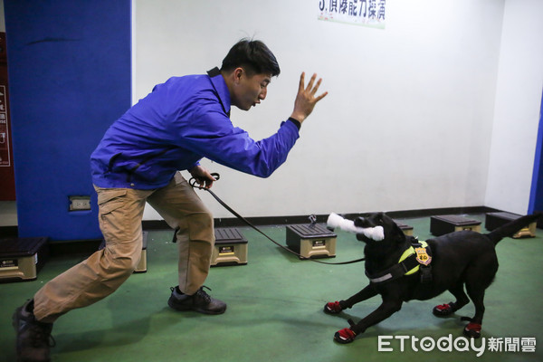 ▲▼憲兵軍犬隊媒體邀訪。（圖／記者周宸亘攝）