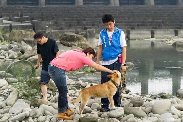 ▲▼過年守護毛寶貝，新北動物救援中心24小時不打烊。（圖／新北市政府提供）