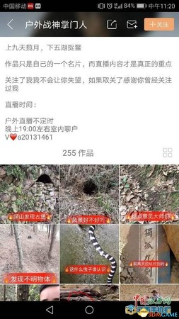 ▲▼直播獵殺野生動物！主播：想增加人氣。（圖／翻攝自上海熱搜）