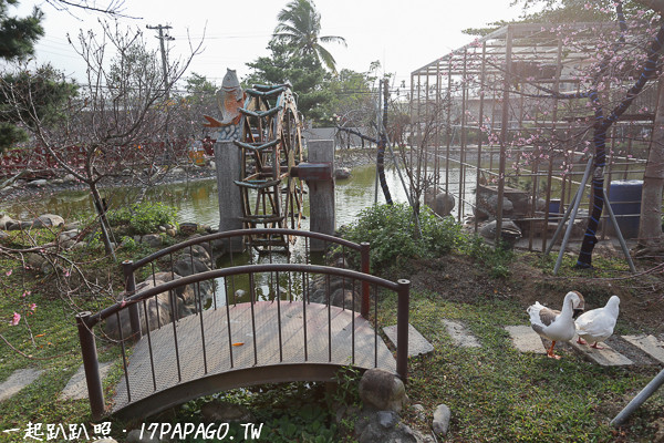 ▲芬園花卉生產休憩園區。（圖／取自粉絲專頁《一起趴趴照》）