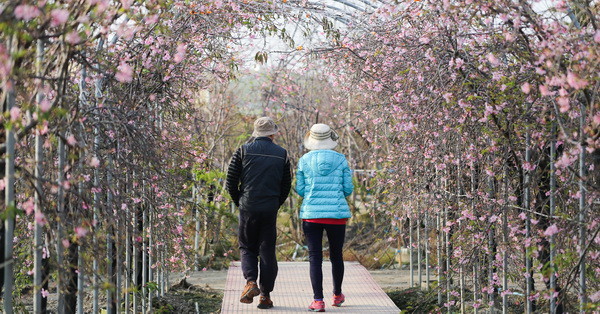 ▲芬園花卉生產休憩園區。（圖／取自粉絲專頁《一起趴趴照》）