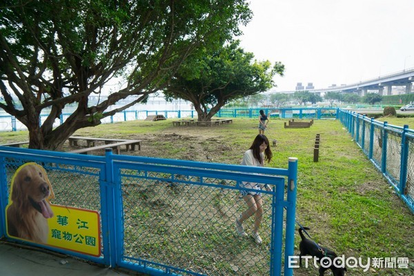 狗年遛狗去，寵物公園報你知（圖／新北市動保處提供）