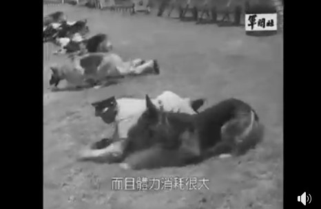 ▲國防部軍聞社特別整理了民國50年代早期的軍犬訓練歷史畫面，相當吸睛。（圖／軍聞社提供）
