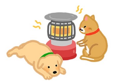 天冷最爱窝暖炉? 毛孩「低温烫伤」危机no.3!别靠太近