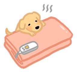 電器是喵汪的暖暖包？！小心低溫燙傷！。（圖／毛起來 MaoUp）