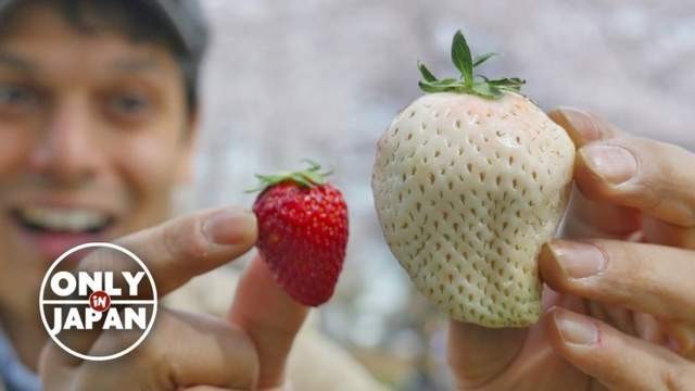 ▲韓國超商賣巨無霸草莓。（圖／翻攝自外網，insight）