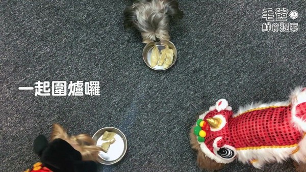 【毛爸鮮食提案】年節必備吉祥佳餚－財源滾滾蒸元寶（圖／毛起來 MaoUp）