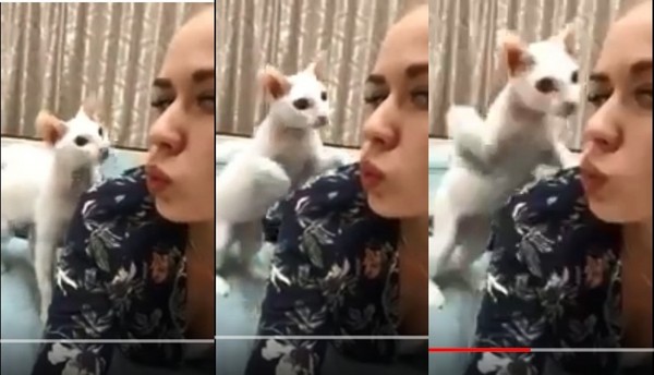 網美自拍嘟嘴裝可愛　慘遭貓主子「賞巴掌」制裁。（圖／翻攝自Viral的YouTube）