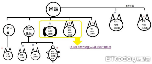 ▲為何偷吃？主子「立正坐好」聽爸訓話：獅子頭先誘惑我的！（圖／網友Chloe Cheng授權提供）