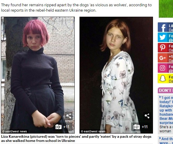 ▲烏克蘭12歲少女卡納瑞姬娜(Liza Kanareikina)遭野狗分屍。（圖／翻攝自每日郵報）