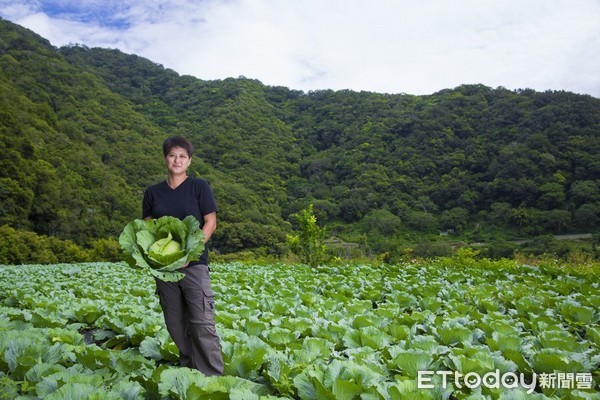 宜蘭縣及花蓮縣之農友，可向花蓮區農業改良場洽辦 「實際耕作者從事農業生產工作認定」申請，通過審查者檢具該工作證明文件，可向戶籍所在地農會申請參加農保。（圖／花蓮區農業改良場提供）