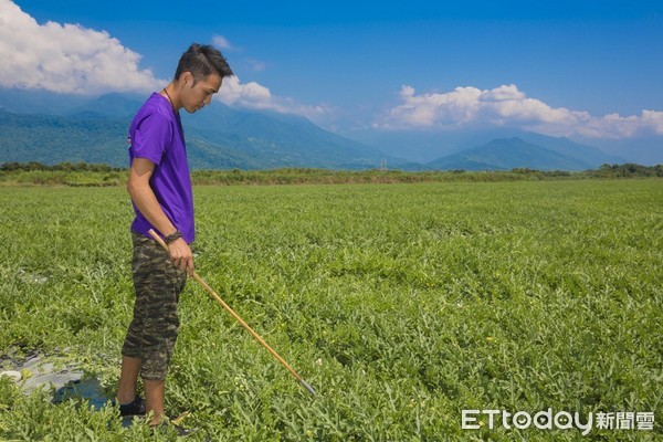 宜蘭縣及花蓮縣之農友，可向花蓮區農業改良場洽辦 「實際耕作者從事農業生產工作認定」申請，通過審查者檢具該工作證明文件，可向戶籍所在地農會申請參加農保。（圖／花蓮區農業改良場提供）