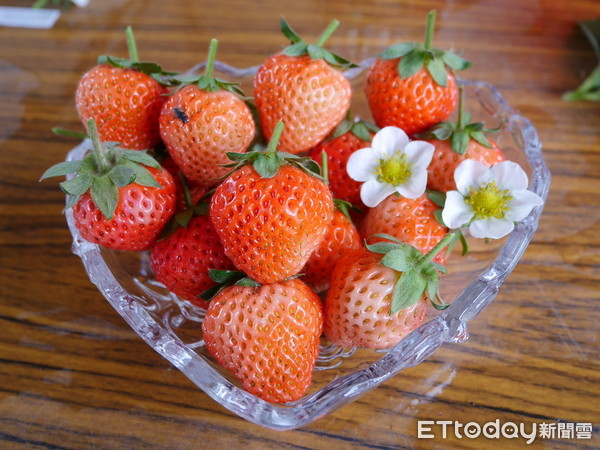 ▲大湖草莓,草莓。（圖／記者彭懷玉攝）