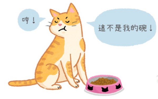 貓咪也會認碗嗎？主子就是任性～我要專屬食碗！。（圖／毛起來 MaoUp）