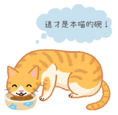 貓咪也會認碗嗎？主子就是任性～我要專屬食碗！。（圖／毛起來 MaoUp）