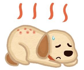 【地震注意報】人類最忠實的好夥伴－搜救犬不能穿防護裝？（圖／毛起來 MaoUp）