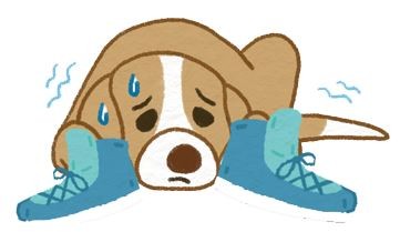 【地震注意報】人類最忠實的好夥伴－搜救犬不能穿防護裝？（圖／毛起來 MaoUp）