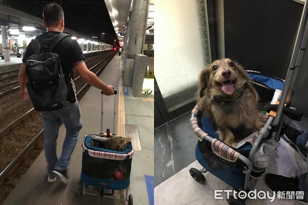 ▲帶8歲愛犬搭車「買2張票」　站務員聽完原因大呼Sweet！。（圖／網友高玉容提供）