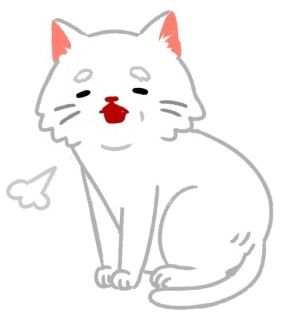 【喵喵康健】想要貓主子萬萬歲？3招預防腎臟病！（圖／毛起來 MaoUp）