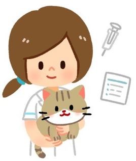 【喵喵康健】想要貓主子萬萬歲？3招預防腎臟病！（圖／毛起來 MaoUp）