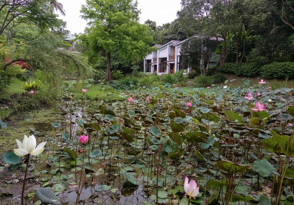 ▲▼花蓮豐濱後湖水月渡假別墅。（圖／後湖水月渡假別墅授權提供）