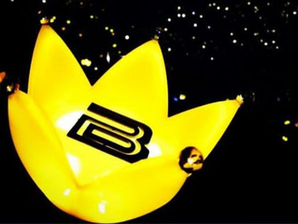 ▲韓團BIGBANG手燈。（圖／翻攝自BIGBANG、太陽臉書）