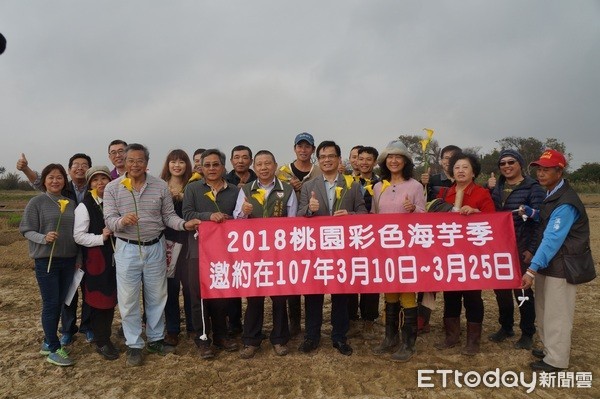 ▲「2018桃園彩色海芋季」於3月3日在溪海國小，辦理敦親睦鄰宣導暨區里說明會。（圖／記者楊淑媛攝）