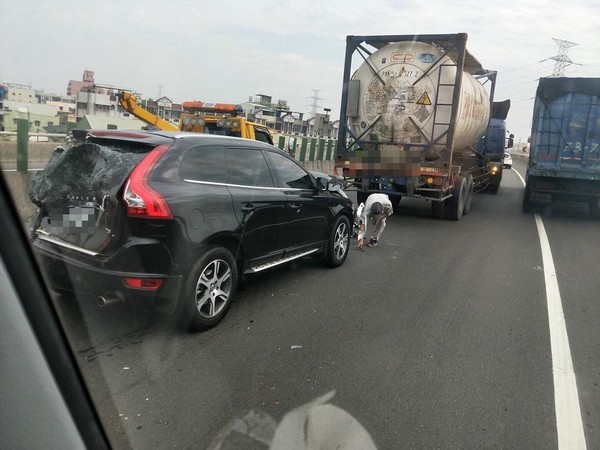 ▲2大貨車前後夾擊！　瑞典戰車撞凹還是很猛。（圖／翻攝自爆料公社）