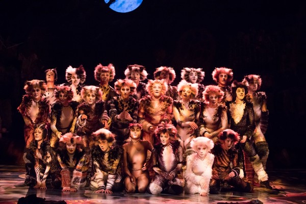 ▲百老匯全本音樂劇《貓》全台巡迴。（圖／寬宏藝術提供）