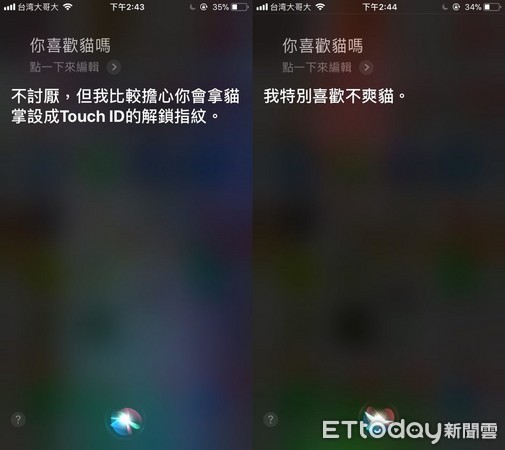 ▲貓派瘋狂逼問「你喜歡貓嗎？」　Siri神回一句超撩妹！。（圖／記者實測）