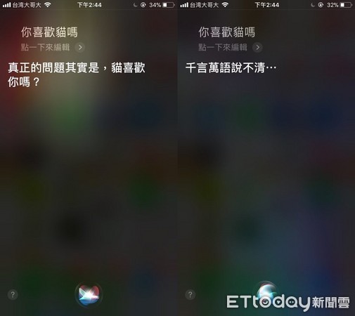 ▲貓派瘋狂逼問「你喜歡貓嗎？」　Siri神回一句超撩妹！。（圖／記者實測）