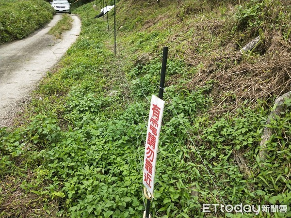 農曆大年初二，台東縣成功鎮發生獵人誤觸電圍網致死案件。台東縣政府農業處呼籲農友架設電圍網時，應以電牧器作為電源且依規定正確架設，同時接地線，切勿直接使用一般家用110伏特以上交流電作為電源，並建議放置「有電勿近」之警告標語，以保障人身安全，避免意外傷亡事件發生。（圖／台東縣政府提供）