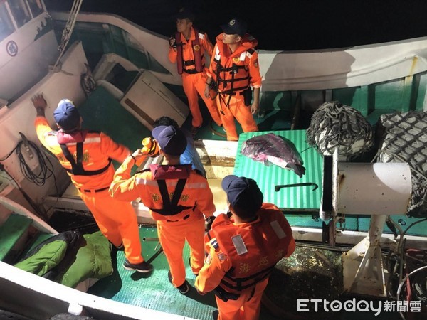 海巡署第一三海岸巡防總隊新港安檢所實施漁船進港安檢檢查，發現小琉球籍昇○漁號漁船違反漁業署公告「鯊魚鰭不離身」相關規定，違規割除之鯊魚鰭計8.6公斤、無發現魚身。（圖／第一三海岸巡防總隊）