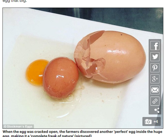 打蛋的時候發現「多一個蛋黃」不稀奇，但如果打破後發現，裡面還有一顆完整的雞蛋呢？澳洲昆士蘭省北部日前有位蛋農發現一顆巨大雞蛋，打破後發現，裡面居然還有一顆完整的雞蛋，連當地大學鳥禽學家看到都相當驚訝不解。（圖／翻攝自每日郵報）