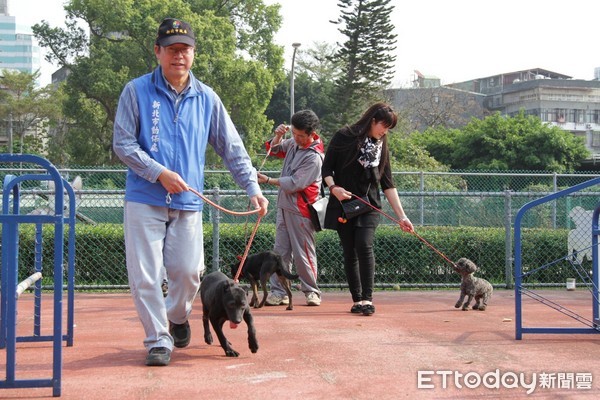 ▲板橋動物之家訓練收容犬！發掘才能、提高認養率，化身好夥伴。（圖／新北市政府動物保護防疫處提供）